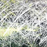 Evian in the Sky with Crazy Diamond ( ⅰ