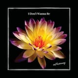 I Don't Wanna Be