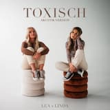 Toxisch (Akustik Version)