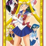 ムーンライト伝説