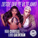 Desde que te vi te amo