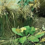 Half Light (Single Version)