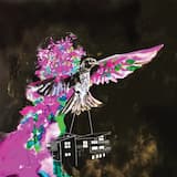 We Carry Our Homes Within Us Which Enables Us to Fly