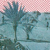 Wider die Schwerkraft