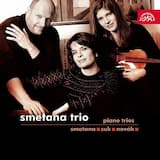 Piano Trio in G minor, op. 15: I. Moderato assai