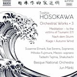 Meditation - to the victims of Tsunami 3.11