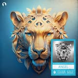 Angel (extended mix)