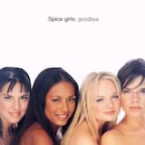 Goodbye (radio version)