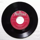 Vuela, vuela palomita