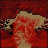 Embodied By Perfidious Curls In The Innervated Flux,