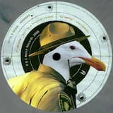 Born in a Tropical Swamp