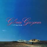 I Will Survive (Spanish 12" Version)