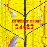 Asymmetry Circuit