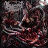 Intro: Deformity of Human Creatures