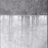 Sonic‐Stricken Terrorism