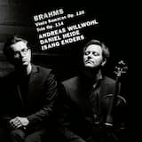 Viola Trio, Op. 114: I. Allegro