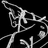 𝘵𝘪𝘦𝘥 𝘶𝘱, 𝘵𝘰𝘳𝘯 𝘢𝘱𝘢𝘳𝘵, 𝘧𝘦𝘥 𝘵𝘰 𝘵𝘩𝘦 𝘥𝘰𝘨𝘴