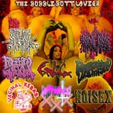 Destroying Your Fucking Sound