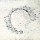 Return of the Silence