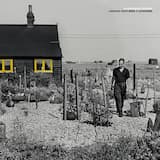 Poppies in the Morning