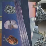 Self-Portrait in Decay