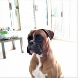 The Very Bess, No Less