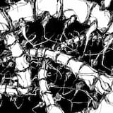 Schämst du dich nicht