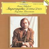 Impromptus, D 899 No. 1 c-moll Allegro molto moderato