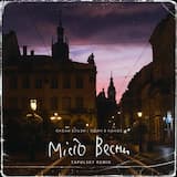 Місто весни - Tapolsky Remix