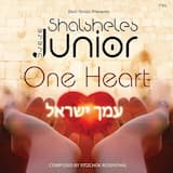 Amcha Yisroel One Heart