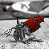 Climb Into An Empty Shell