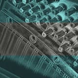 Places We Could Have Gone