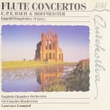 Flute Concerto in D major: Allegro