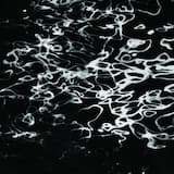 Sugar Lobby Series 9191