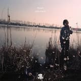 Au matin la mort de l'astre