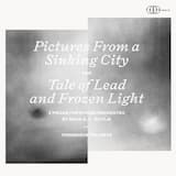 Pictures From a Sinking City