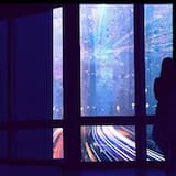 Is It Safe to Lie Down?