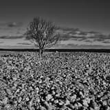 Archipelago Recordings With Gong Part 2