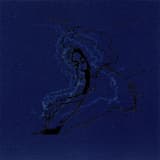 Heavy Paws on the Purple Floor