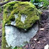 Merci à nôtre Mère