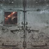 Disturbed Dissected: Stupify