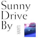 Sunny Driveby