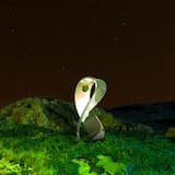 Journey (Kareem Ali Remix)