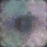 1st dose (happiness)