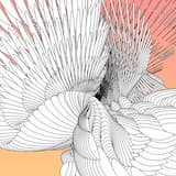 A New Star in the Night Sky (For KP)