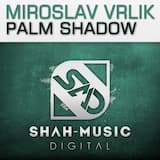 Palm Shadow (original mix)