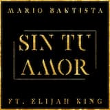 Sin tu amor