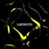 Labyrinth