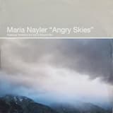 Angry Skies (Terrestrial Vox Mix)