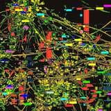 Sleeping Through Sunshine